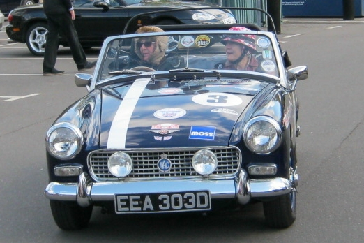 41.JPG