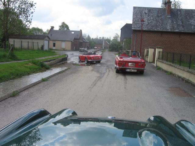 Tulip_Rally_1.jpg
