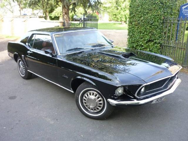 mustang1.jpg