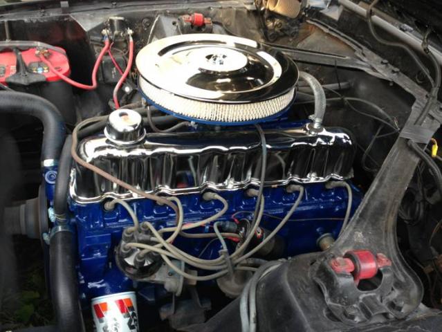 mustang4.jpg